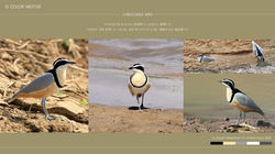 161124 크로커다일SI 메뉴얼 제안서 2차(last)_페이지_12