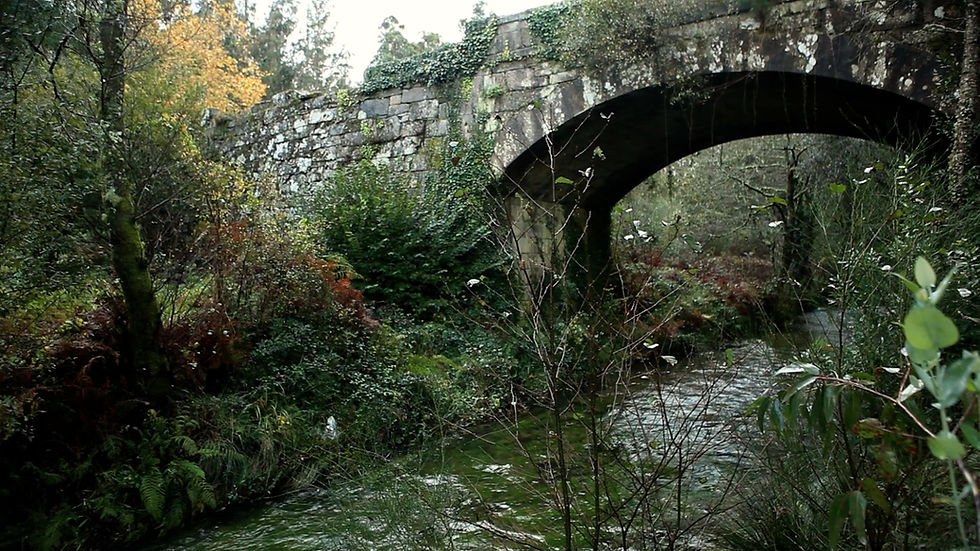 CAMINO_60_DE.mp4.00_56_20_24.Standbild008.jpg