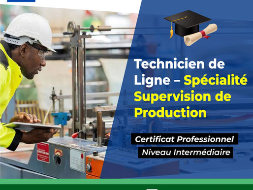 L'IPHEF accompagne individus, entreprises et institutions dans la montée en compétence et l’amélioration de la performance. En partenariat avec l’IUTEA, l’IPHEF organise des formations diplômantes en licence et master. Il a également développé ses propres mastères professionnels spécialisés, conçus comme des labels de qualité pour renforcer le professionnalisme sur le continent. L’institut bénéficie d’une reconnaissance officielle par l’arrêté ministériel N°0892/METFPA/CAB du 26 juillet 2024, et d’un agrément du FDFP. En partenariat avec PECB, il délivre également des certifications ISO internationalement reconnues.