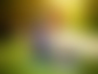 Ignite, Explore, Learn: A Guide for Curious Homes