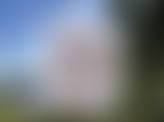 Lakeside scene with purple flowers, trees, and blue sky. Text reads "HOW TO SPEND A DAY ON MATERNITY LEAVE." Tranquil mood.