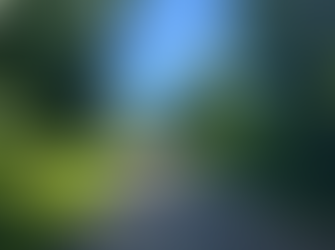 A sunlit garden path lined with lush green trees and shrubs. Clear blue sky overhead, creating a serene, peaceful atmosphere.