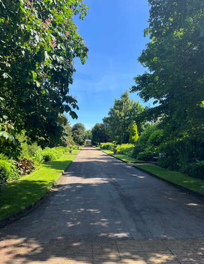 A sunlit garden path lined with lush green trees and shrubs. Clear blue sky overhead, creating a serene, peaceful atmosphere.