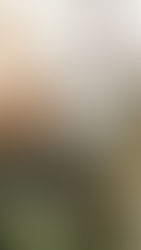 Person holding coffee cup, seated at a table with laptop open on search page. Brown pastry on a plate nearby. Relaxed, focused atmosphere.