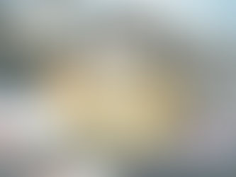 'The Weekly Three' article header featuring a lifestyle collage of a coastal Rhode Island home, somebody ready whilst holding a mug of coffee with a cosy banket and an outdoor garden centre wooden shelf with a row of plants.