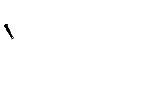 fleches_noir_-2137036.gif