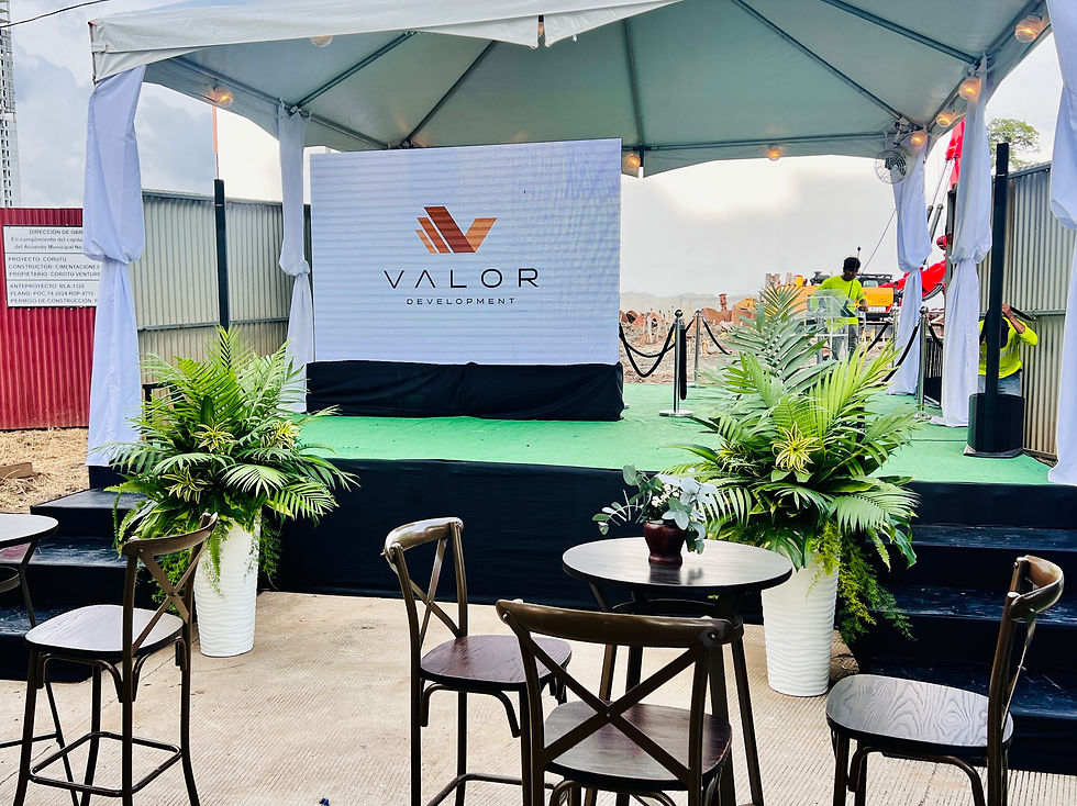 Ambientacion Organico