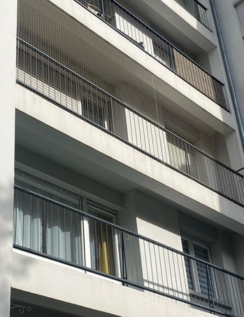 Dépigeonnage - Pose de filets anti-volatile