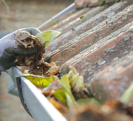 Gouttière pleine de feuilles