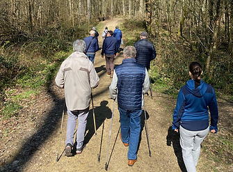 Groupe de seniors pratiquant la marche nordique
