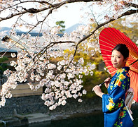 フラワー留学、フラワーアレンジメント