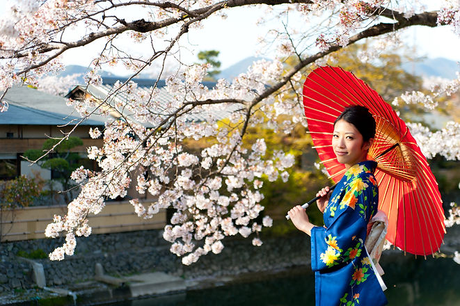 Femme japonaise à Cherry Blossom