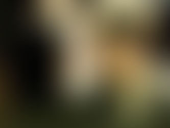 From South Boston to Quincy: Why Will Hunting and Autumn MacLeod Are the Same Person