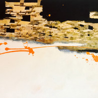 THE GOLD COVERAGE