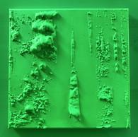 NEUTRAL TRANSITION #3