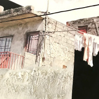 PINK CAPE VERDE (detail)