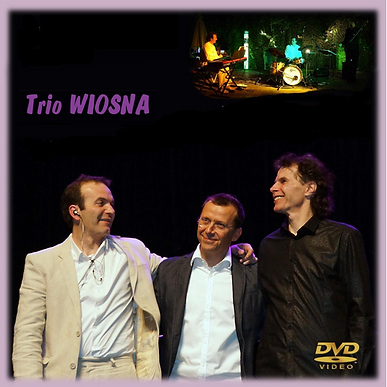 Wiosna-Trio Jazz/swing et latin/funk-animations musicales,cocktail mariage