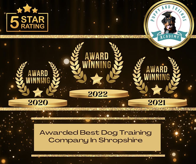 AWARD  23.jpg