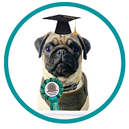 The Intimidator (9).png