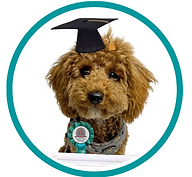 The Intimidator (8).png