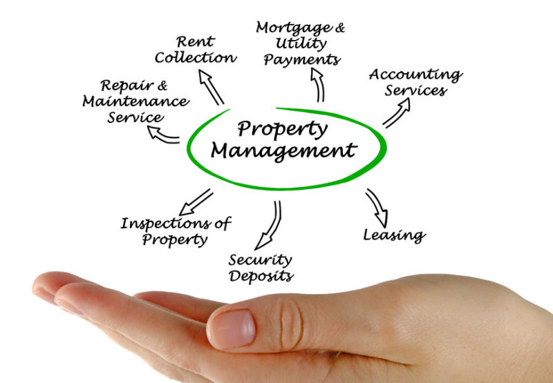 hand with a graph of property management breakdown: rent colelction, mortage payments, accounting, leasing, depsoits, inspections, maintenance and repairs