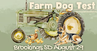 Farm Dog.jpg