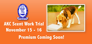 SW Website Save the Date.png