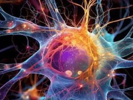 Cerebro digital