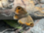 Natur entdecken