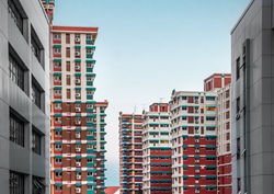hdb pic.jpg