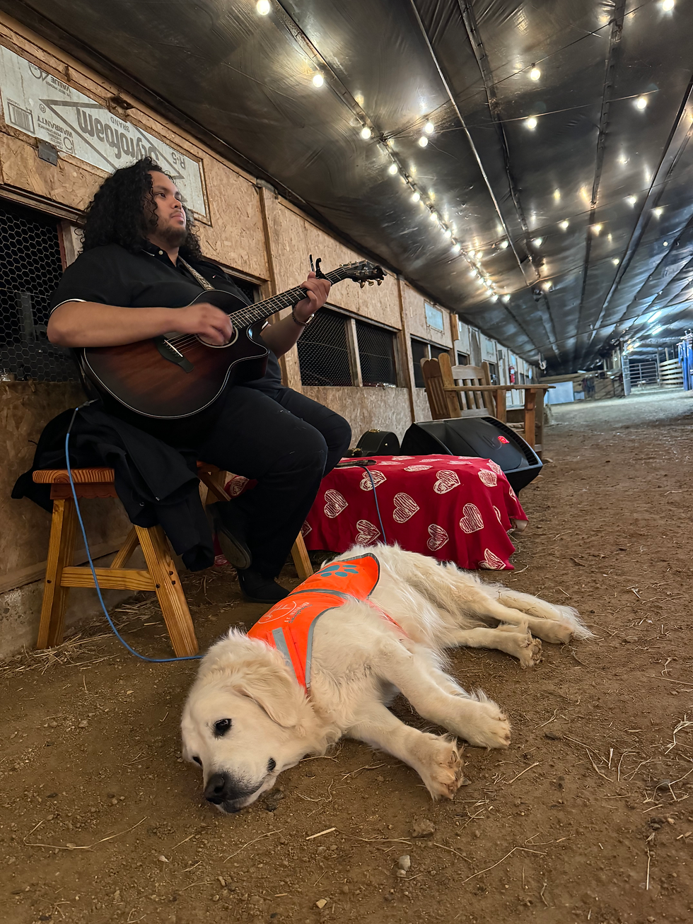 Thumbnail: "A Night Out" on the farm - Valentine Edition - Tickets