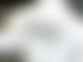 Personal de seguridad especializado en protección a dignatarios en Honduras.