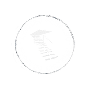 Ilustración-sin-tÃtulo 2 (1).png