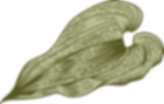 Botany