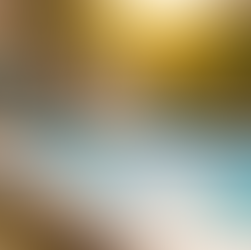 Dicas e acessórios essenciais para a manutenção perfeita da piscina.