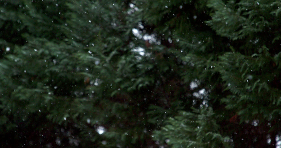 Snowfall Sparkle.mp4