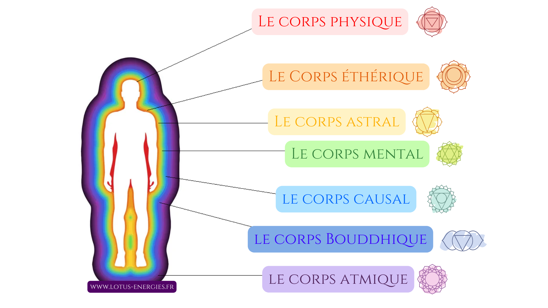 explications-corps-subtils-1.webp