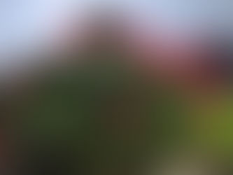 Issue 3                        16th January 2026  