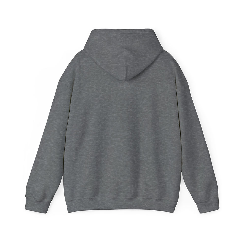 Thumbnail: RDS campfire Heavy Blend™ Hooded Sweatshirt