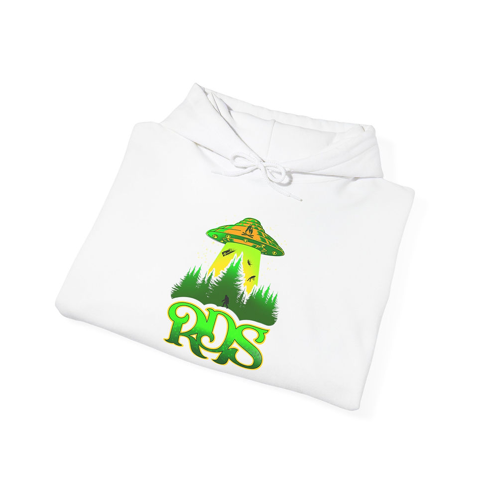 Thumbnail: RDS strange things Heavy Blend™ Hooded Sweatshirt