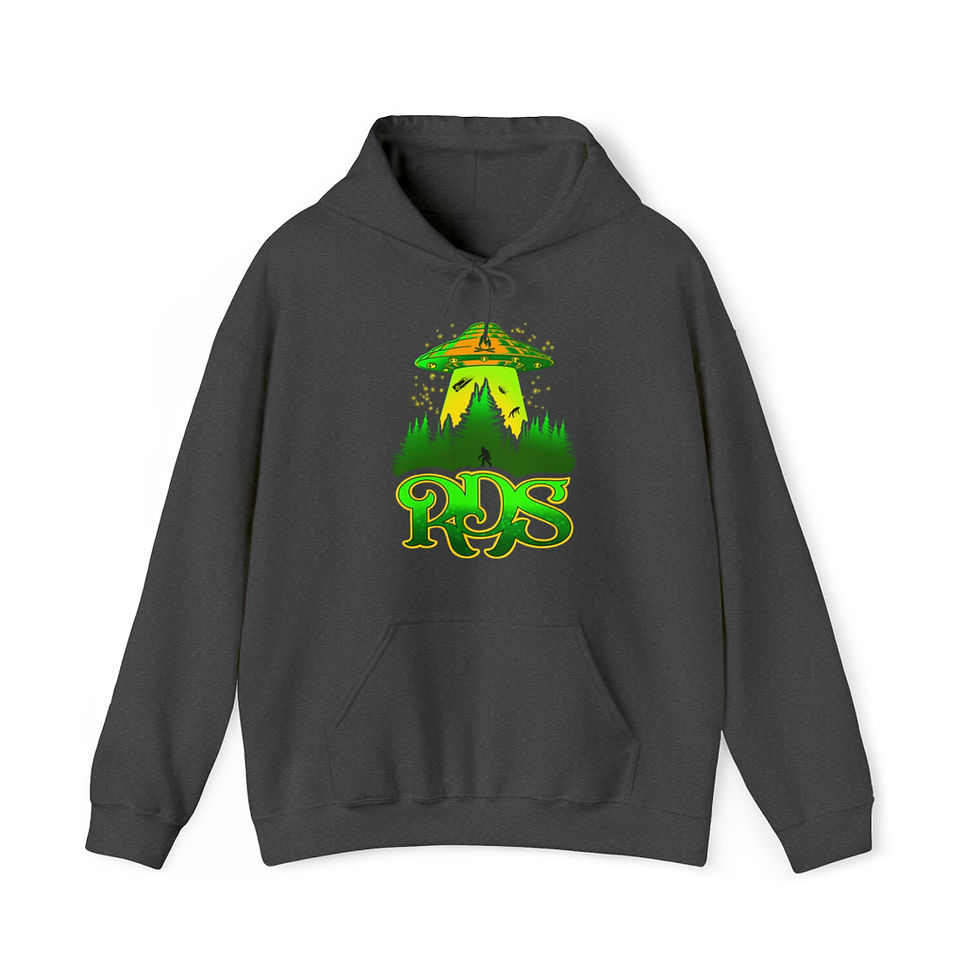 Thumbnail: RDS strange things Heavy Blend™ Hooded Sweatshirt
