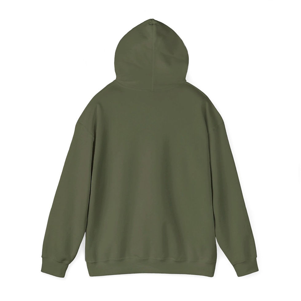 Thumbnail: RDS flag  Hooded Sweatshirt
