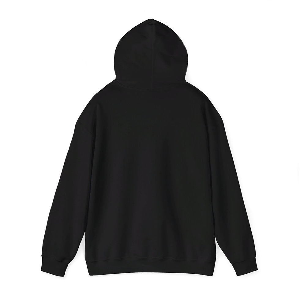 Thumbnail: RDS archery logo Hooded Sweatshirt