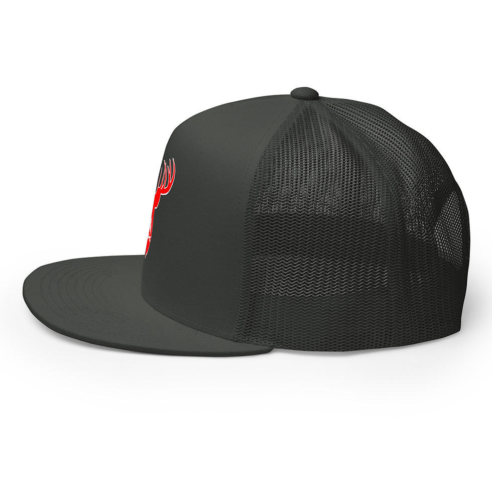 Thumbnail: RDS red hunt Trucker Cap