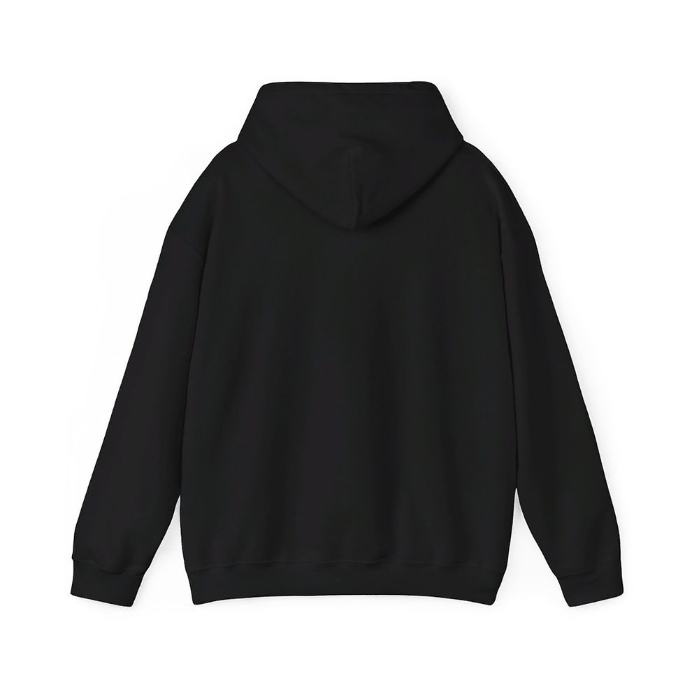 Thumbnail: RDS beer flag Hooded Sweatshirt