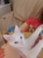 20190602_123153