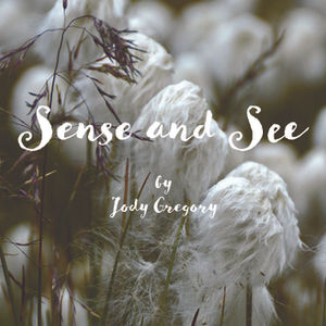 Sense and See