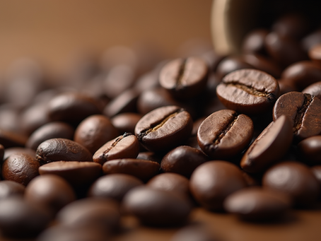 Discover the Art of Crafting Your Perfect Cup of Coffee