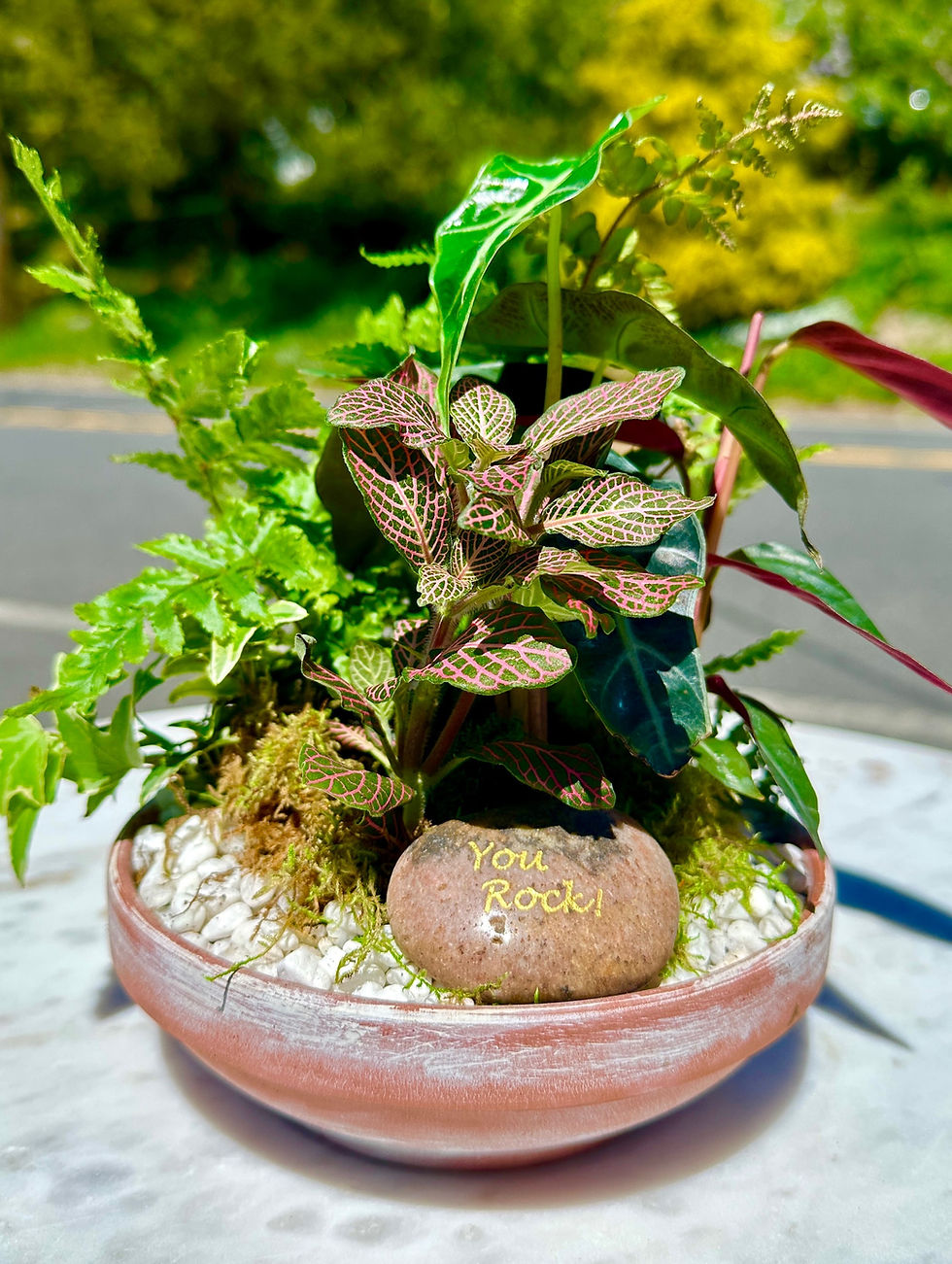 Thumbnail: Terra cotta 6 iwhitewashed pot with ferns, low light plants,  preserved florals 