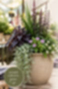 Design, Create and Plant! 2 sessions to choose from listed on checkout page!